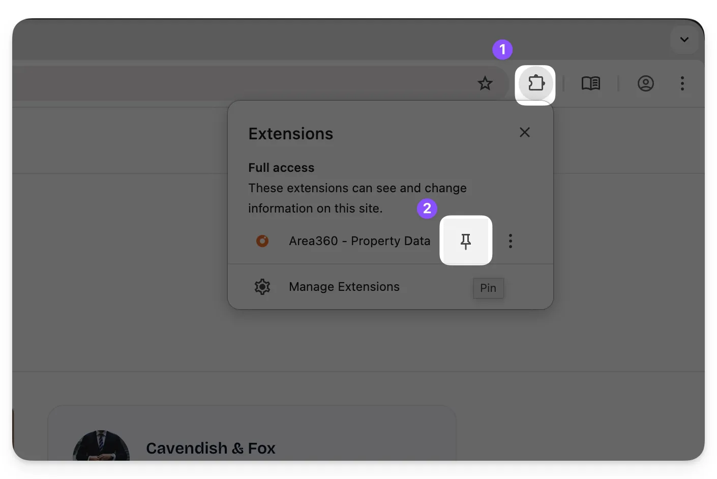 Pin extension